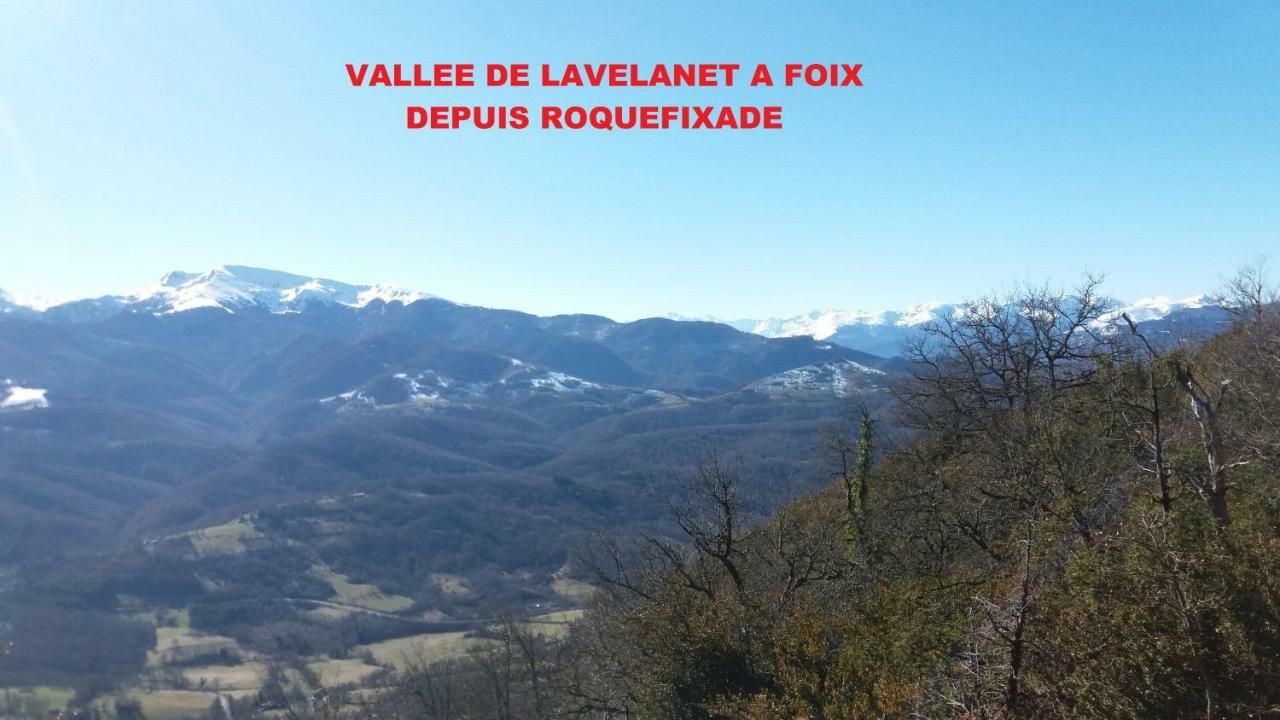 74 Rue Pasteur Apartment Lavelanet Bagian luar foto