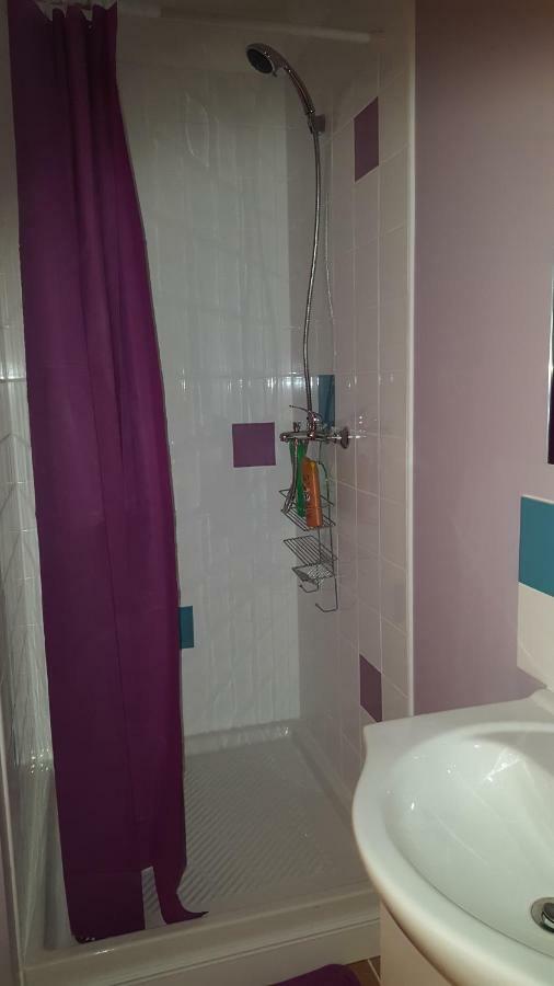 74 Rue Pasteur Apartment Lavelanet Bagian luar foto